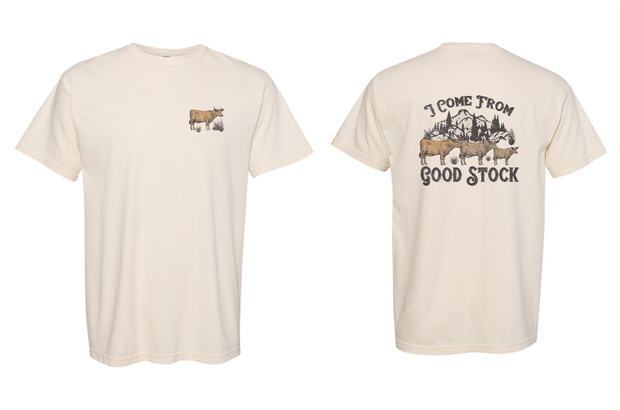 Red Stone Rebel Clothing Co. - I Come From Good Stock Kids Western Graphic T-Shirt: 3T / Natural